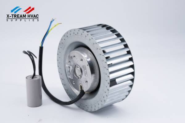 X240 Motor - X-TREAM