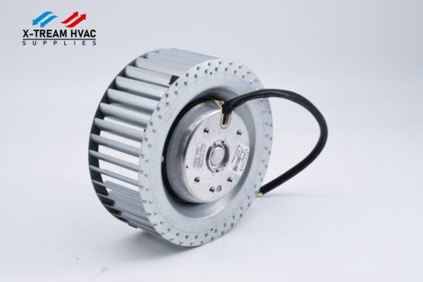 X240 Motor - X-TREAM