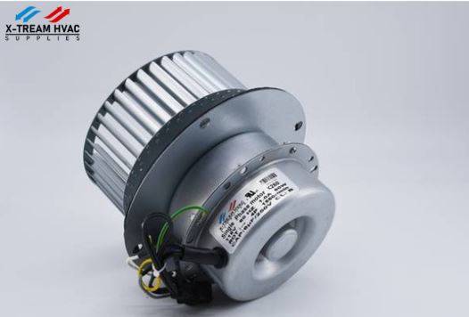 X260 Motor - X-TREAM