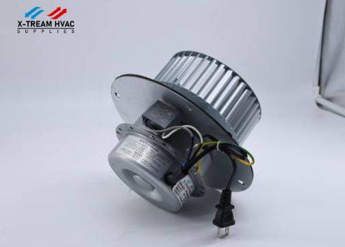 X300 Motor - X-TREAM