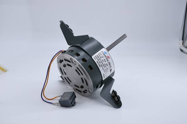 X799 Motor 1/6HP 115V 950RPM - X-TREAM