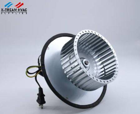 X300 Motor - X-TREAM